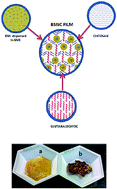 Graphical abstract: Fabrication of a versatile chitosan nanocomposite hydrogel impregnated with biosynthesized silver nanoparticles using Sapindus mukorossi: characterization and applications