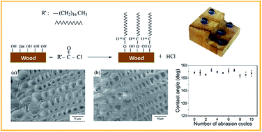 Graphical abstract: Preparation of mechanical abrasion and corrosion resistant bulk highly hydrophobic material based on 3-D wood template