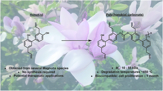 Graphical abstract: Bio-based polycarbonates derived from the neolignan honokiol