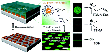 Graphical abstract: Fabrication of highly photoluminescent quantum dot-polymer composite micropatterned surface using thiol-ene chemistry