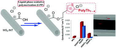 Graphical abstract: Multiple functionalization of tungsten disulfide inorganic nanotubes by covalently grafted conductive polythiophenes