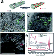 Graphical abstract: In situ growth of metallic 1T-WS2 nanoislands on single-walled carbon nanotube films for improved electrochemical performance