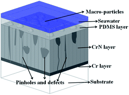 Graphical abstract: A novel duplex PDMS/CrN coating with superior corrosion resistance for marine applications