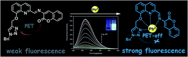 Graphical abstract: A highly sensitive and selective turn-on fluorescent probe for Pb(ii) ions based on a coumarin–quinoline platform