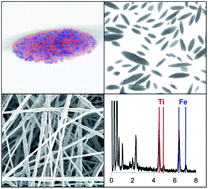 Graphical abstract: Preparation of ellipsoid-shaped supraparticles with modular compositions and investigation of shape-dependent cell-uptake