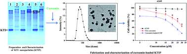 Graphical abstract: Fabrication and delivery properties of soy Kunitz trypsin inhibitor nanoparticles