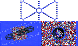 Graphical abstract: Fast water transmission of zigzag graphyne-3 nanotubes