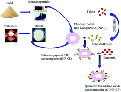 Graphical abstract: Fabrication of a multifunctional nanocomposite containing INP coated with chitosan coupled with folic acid and loaded with quercetin in diagnosis and its possible treatment of cancer