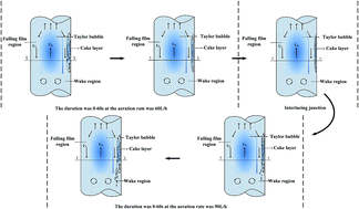 Graphical abstract: The impact of gas slug flow on microfiltration performance in an airlift external loop tubular membrane reactor