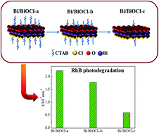 Graphical abstract: Investigation of adsorption and photocatalytic activities of in situ cetyltrimethylammonium bromide-modified Bi/BiOCl heterojunction photocatalyst for organic contaminants removal