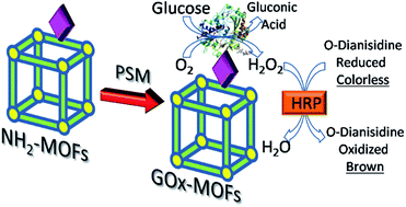 Graphical abstract: Covalent immobilization of glucose oxidase on amino MOFs via post-synthetic modification