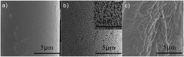 Graphical abstract: Scaly bionic structures constructed on a polyester fabric with anti-fouling and anti-bacterial properties for highly efficient oil–water separation