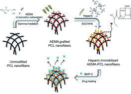 Graphical abstract: Development and characterization of heparin-immobilized polycaprolactone nanofibrous scaffolds for tissue engineering using gamma-irradiation