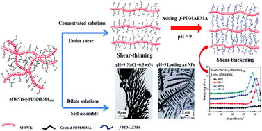 Graphical abstract: Grafting of multi-sensitive PDMAEMA brushes onto carbon nanotubes by ATNRC: tunable thickening/thinning and self-assembly behaviors in aqueous solutions