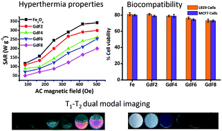 Graphical abstract: Multi-modal MR imaging and magnetic hyperthermia study of Gd doped Fe3O4 nanoparticles for integrative cancer therapy