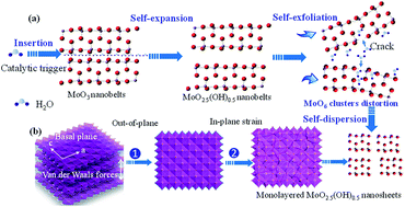 Graphical abstract: Self-expansion, self-exfoliation and self-dispersion: insights into colloidal formation of atomically thin two-dimensional MoO2.5(OH)0.5