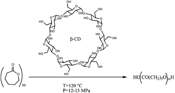 Graphical abstract: Ring opening polymerization of ε-caprolactone in the presence of wet β-cyclodextrin: effect of the operative pressure and of water molecules in the β-cyclodextrin cavity