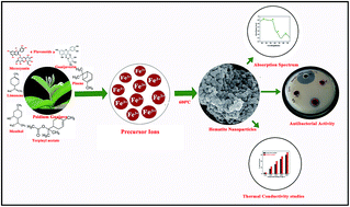 Graphical abstract: Synthesis of biogenic hematite (α-Fe2O3) nanoparticles for antibacterial and nanofluid applications