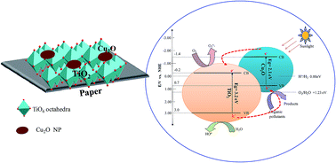 Graphical abstract: Hybrid paper–TiO2 coupled with a Cu2O heterojunction: an efficient photocatalyst under sun-light irradiation