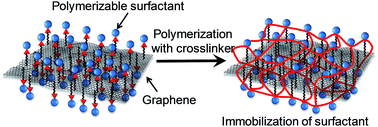 Graphical abstract: In situ polymerization of a novel surfactant on a graphene surface for the stable dispersion of graphene in water
