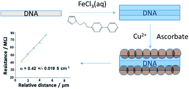 Graphical abstract: Preparation and electrical properties of a copper-conductive polymer hybrid nanostructure
