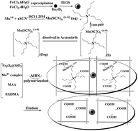 Graphical abstract: Rapid and selective separation of molybdenum ions using a novel magnetic Mo(vi) ion imprinted polymer: a study of the adsorption properties