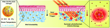 Graphical abstract: NIR-laser-triggered smart full-polymer nanogels for synergic photothermal-/chemo-therapy of tumors