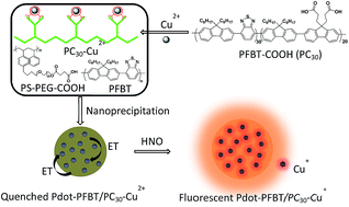 Graphical abstract: Copper(ii)-doped semiconducting polymer dots for nitroxyl imaging in live cells