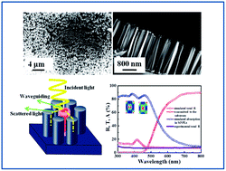 Graphical abstract: Improved broadband and omnidirectional light absorption in silicon nanopillars achieved through gradient mesoporosity induced leaky waveguide modulation