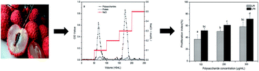 Graphical abstract: Preliminary characterization and immunomodulatory activity of polysaccharide fractions from litchi pulp