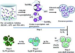 Graphical abstract: Synthesis, characterization and formation mechanism of Ta–W nanocrystalline composite powders fabricated by nano-in situ composite method