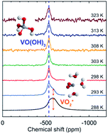 Graphical abstract: Temperature-dependent 51V nuclear magnetic resonance spectroscopy for the positive electrolyte of vanadium redox flow batteries