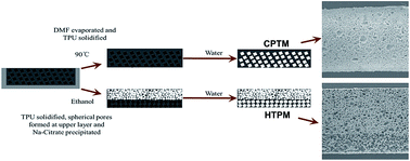 Graphical abstract: Biomimetic thermoplastic polyurethane porous membrane with hierarchical structure accelerates wound healing by enhancing granulation tissue formation and angiogenesis