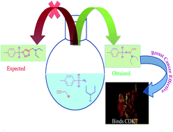 Graphical abstract: Potentially antibreast cancer enamidines via azide–alkyne–amine coupling and their molecular docking studies