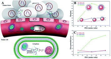 Graphical abstract: Biodegradable pH-sensitive polyurethane micelles with different polyethylene glycol (PEG) locations for anti-cancer drug carrier applications