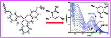 Graphical abstract: Exploration of biological activities of alkyne arms containing Cu(ii) and Ni(ii) complexes: syntheses, crystal structures and DFT calculations