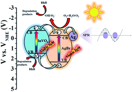 Graphical abstract: Sheet-on-sphere structured Ag/AgBr@InVO4 heterojunctions and enhanced visible-light photocatalytic activity