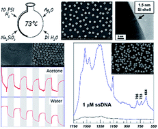 Graphical abstract: One-step synthesis and applications of highly concentrated silver nanoparticles with an ultra-thin silica shell