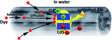 Graphical abstract: Porous boron nitride coupled with CdS for adsorption–photocatalytic synergistic removal of RhB