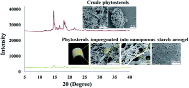 Graphical abstract: Phytosterol nanoparticles with reduced crystallinity generated using nanoporous starch aerogels