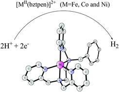 Graphical abstract: DFT study of the mechanism of hydrogen evolution catalysed by molecular Ni, Co and Fe catalysts containing a diamine–tripyridine ligand