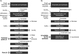 Graphical abstract: Biologically synthesized crude calcium lactate as a substrate for propylene glycol production