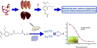 Graphical abstract: Development of an indirect competitive enzyme-linked immunosorbent assay for screening ethopabate residue in chicken muscle and liver