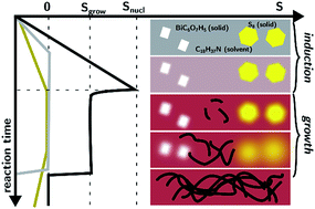 Graphical abstract: Towards bulk syntheses of nanomaterials: a homeostatically supersaturated synthesis of polymer-like Bi2S3 nanowires with nearly 100% yield and no injection