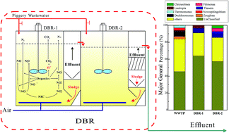 Graphical abstract: Efficient and microbial communities for pollutant removal in a distributed-inflow biological reactor (DBR) for treating piggery wastewater