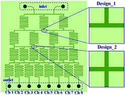 Graphical abstract: Concentration gradient generator for H460 lung cancer cell sensitivity to resist the cytotoxic action of curcumin in microenvironmental pH conditions