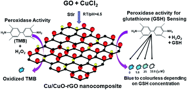 Graphical abstract: Novel synthesis of a mixed Cu/CuO–reduced graphene oxide nanocomposite with enhanced peroxidase-like catalytic activity for easy detection of glutathione in solution and using a paper strip