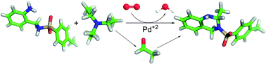 Graphical abstract: Degradation of the active species in the catalytic system Pd(OAc)2/NEt3
