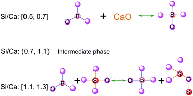 Graphical abstract: Structural investigation of calcium borosilicate glasses with varying Si/Ca ratios by infrared and Raman spectroscopy