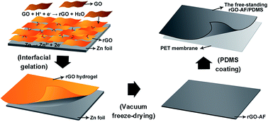 Graphical abstract: High shielding effectiveness of multilayer graphene oxide aerogel film/polymer composites